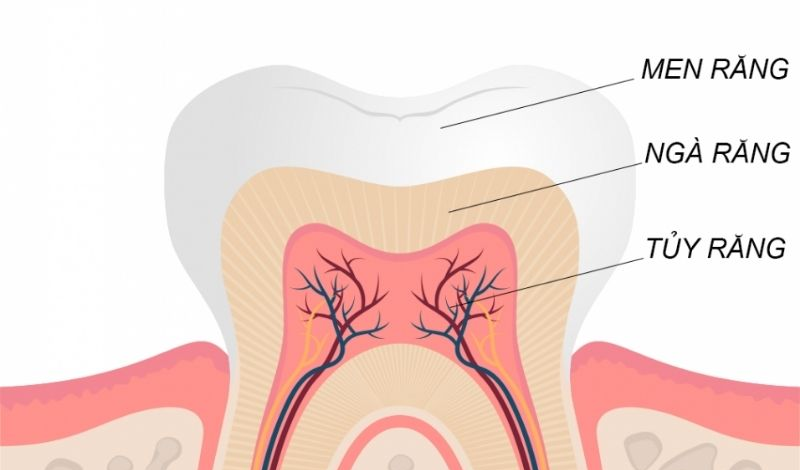 Bọc răng sứ có ảnh hưởng gì?