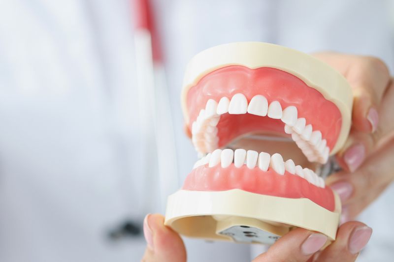Khớp cắn chuẩn là gì? Phương pháp để có khớp cắn chuẩn Như thế nào là khớp cắn chuẩn?