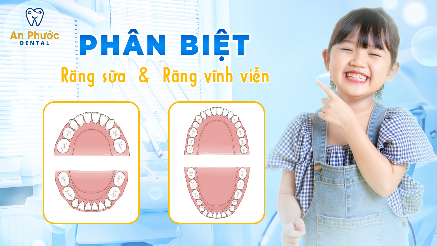 Cách phân biệt răng sữa và răng vĩnh viễn chi tiết nhất cach-phan-biet-rang-sua-va-rang-vinh-vien