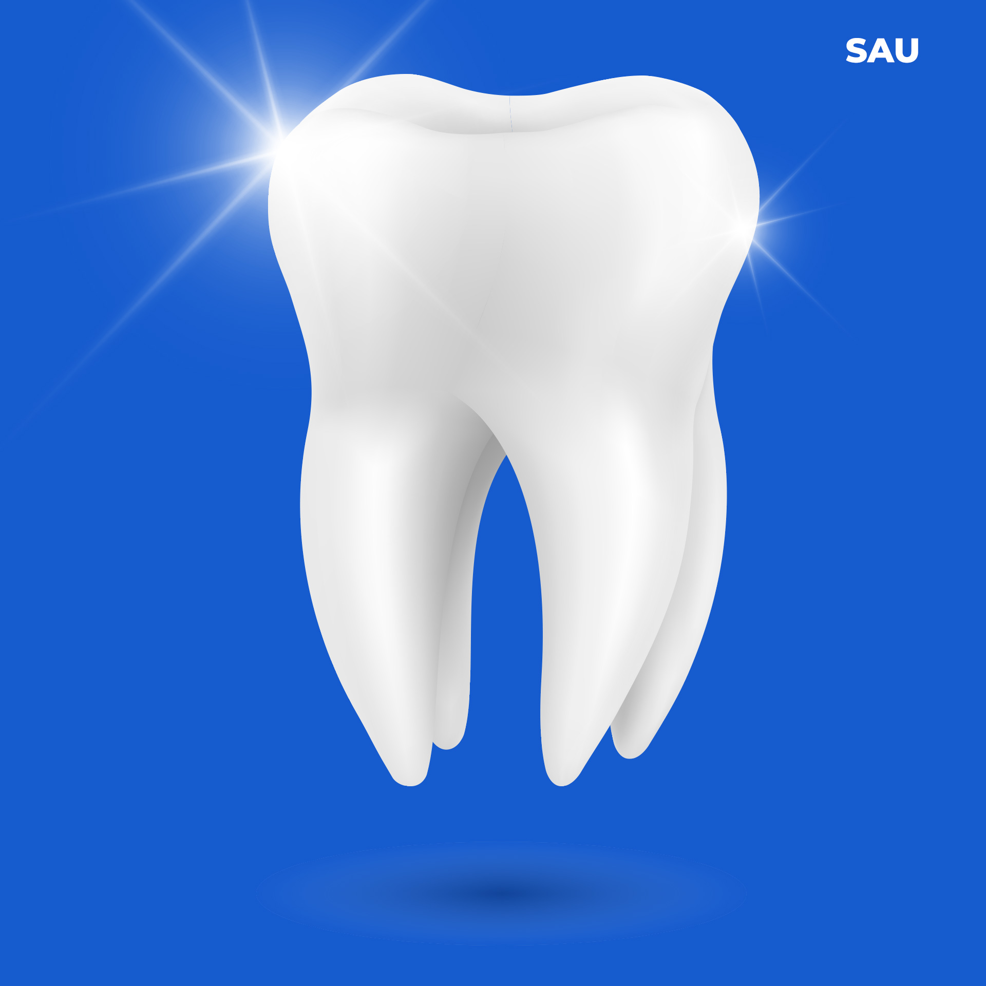cao voi rang af Tháng mười một 18, 2025